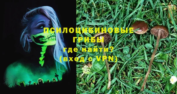 альфа пвп Козельск