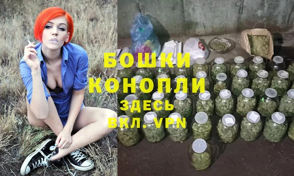 соль ск Козловка