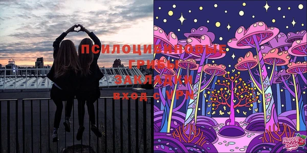 соль ск Козловка