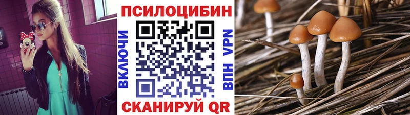 Купить  Избербаш  Псилоцибиновые грибы Magic Shrooms 